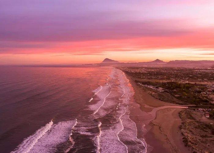 Orquidia By On Travel Oliva