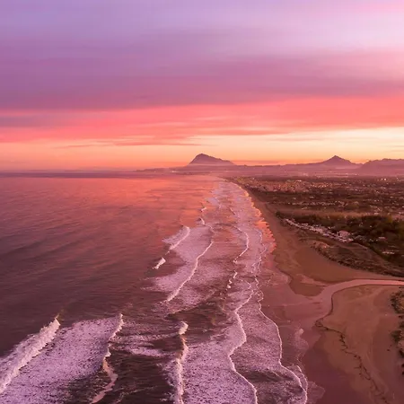 Orquidia By On Travel Oliva